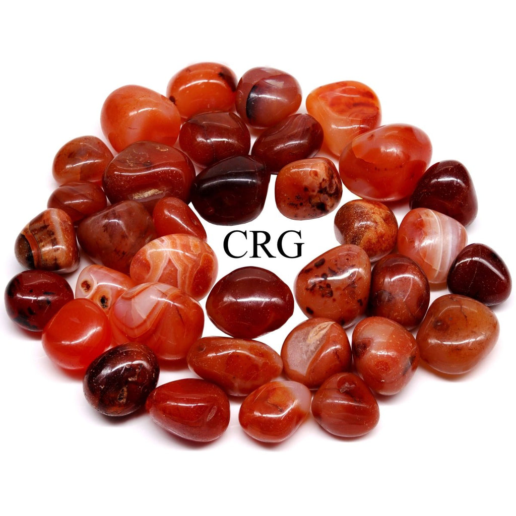 Tumbled Extra Quality Carnelian / 10-30mm AVG - 1 LB. LOT