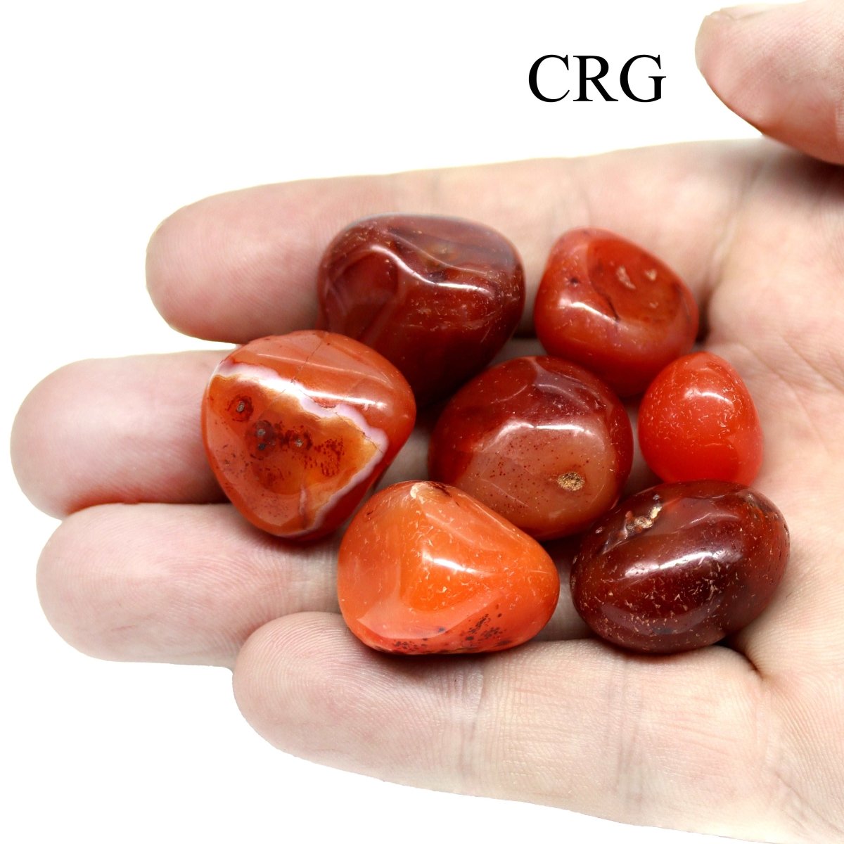 Tumbled Extra Quality Carnelian / 10-30mm AVG - 1 LB. LOT