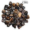 Tumbled Stromatolite / 20-35mm AVG - 1 LB. LOT