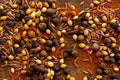 Baharat