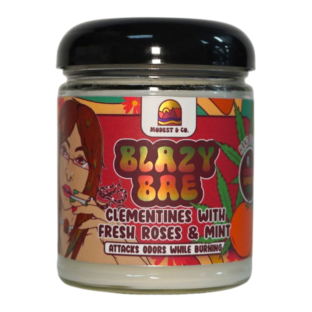 Blazy Bae - Modest and Co. Odor Fighting Candle