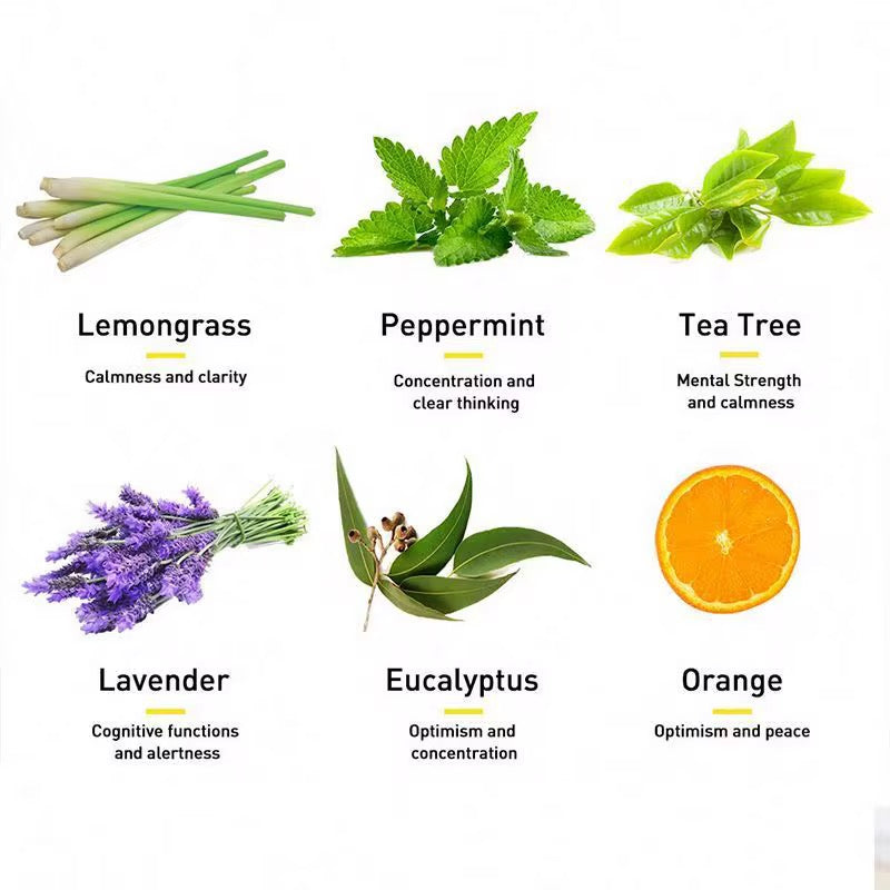 Best 6 Blends Essential Oils Set | Aromatherapy Diffuser Blends Oils for Sleep, Mood, Breathe, Temptation, Feel Good, Stress Relief