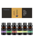 Best 6 Blends Essential Oils Set | Aromatherapy Diffuser Blends Oils for Sleep, Mood, Breathe, Temptation, Feel Good, Stress Relief