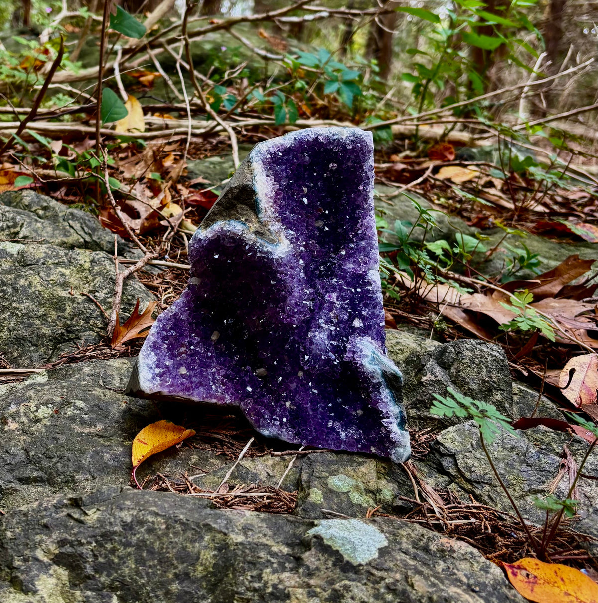 Statement Raw Amethyst Geode Cluster – Intuition, Peace & Tranquility (5 lb 1 oz)