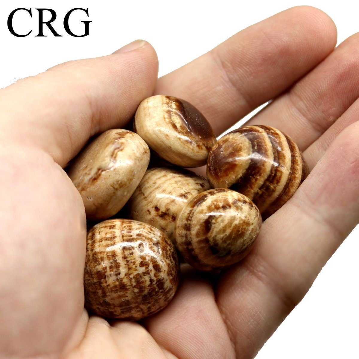 Aragonite Tumbled (Size 20 to 35 mm) Bulk Wholesale Lot Crystals Minerals