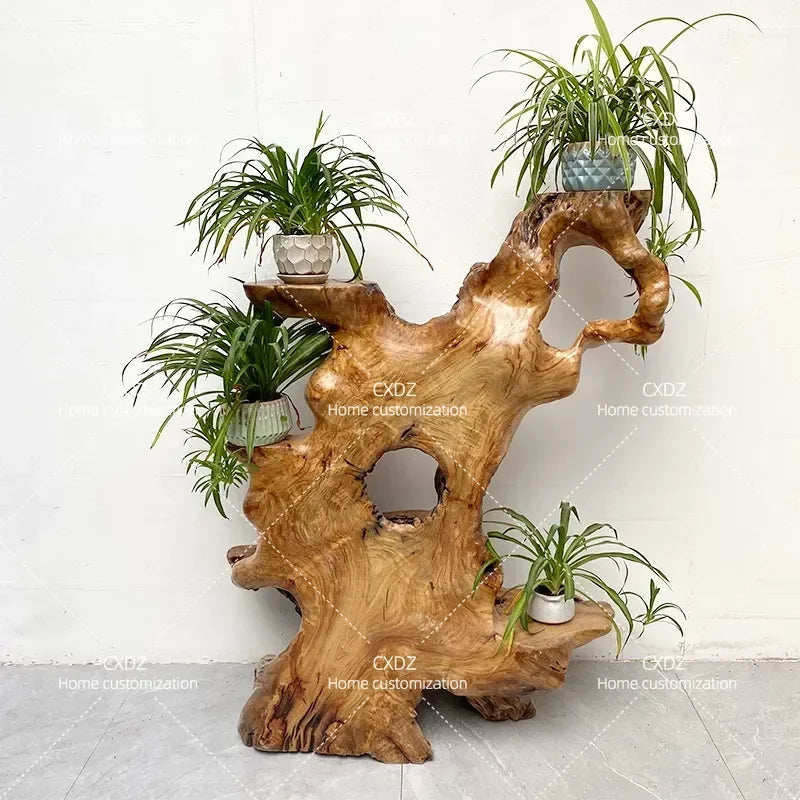 Natural Camphor Wood Root Carving Display Stand – Solid Wood Bonsai & Art Pedestal