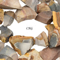 Polychrome Desert Jasper Rough (Size 1 to 2 Inches) Wholesale Raw Crystals Minerals Gemstones