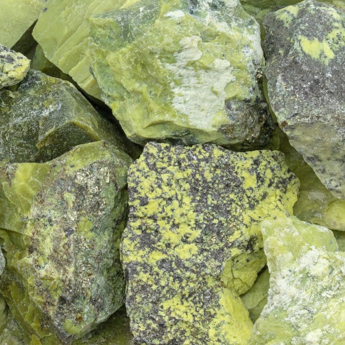 Serpentine Rough (Size 1 to 2 Inches) Wholesale Raw Crystals Minerals Gemstones